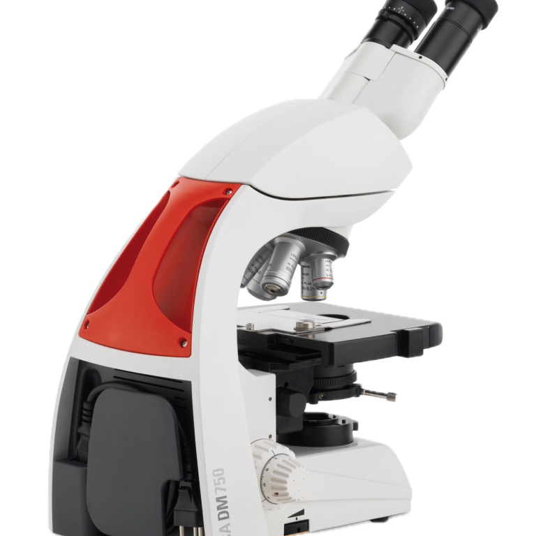 Fondo de dm750 eliminado