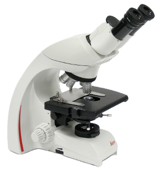 Fondo de dm750 eliminado